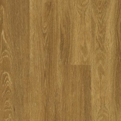 00256_5M304 - Reed