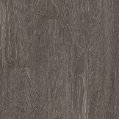 00564_5M308 - Carbon