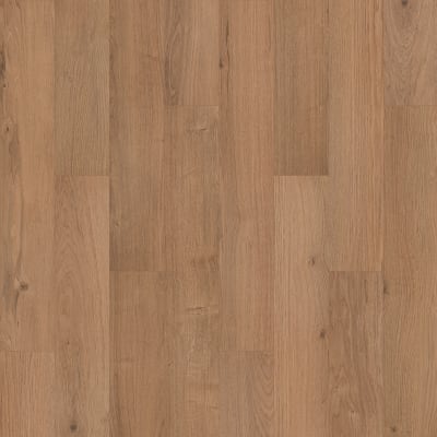 SDS13-473 - Phoenix