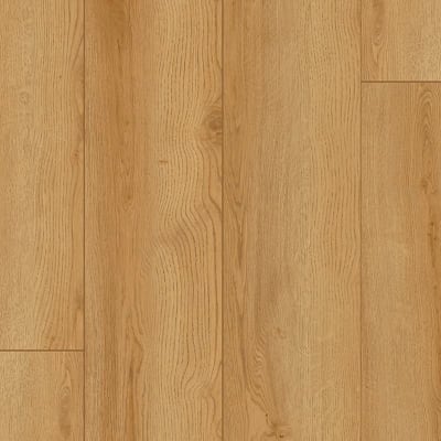 SDS04-232 - Arden