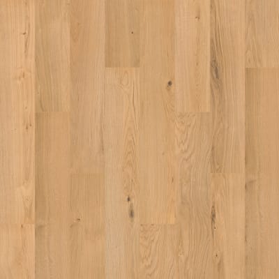 SDS13-567 - Marigold