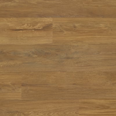 RKP8237 - Glenmore Oak