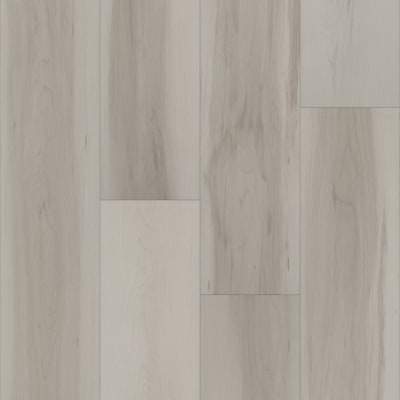 P1053-DC202 - Silver Maple
