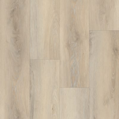 P2254-M3309 - Simcoe Oak