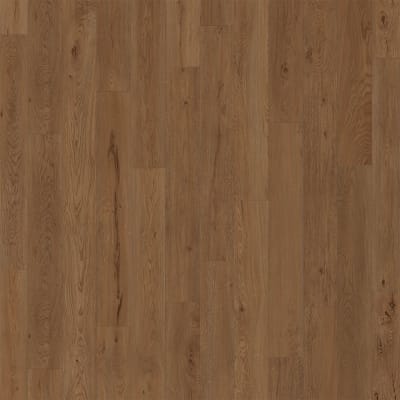 D2026-6210 - Maui