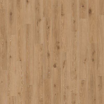 D2027-5103 - Carmine