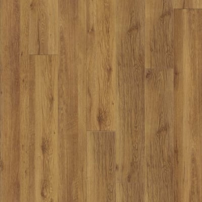 D030-3003 - Hemlock Trail