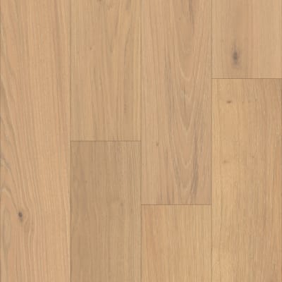WO702-F1682 - Odyssey Oak