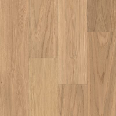 WO702-F1683 - Sunlit Oak