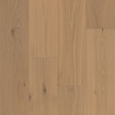 WO902-F1676 - Sonoran Oak