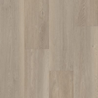 P2248-MC213 - Winniepeg Oak