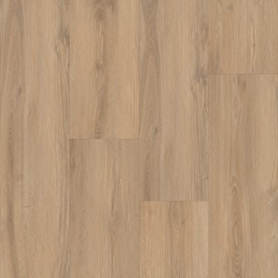 P2248-MC293 - Moncton Oak