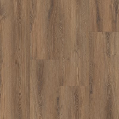 P2248-MC298 - Burnaby Oak