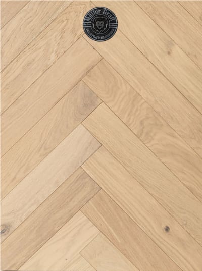 MGICHB1206 - Modena
