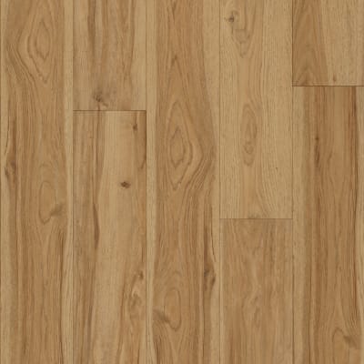 APP110 - Heartwood Ridge