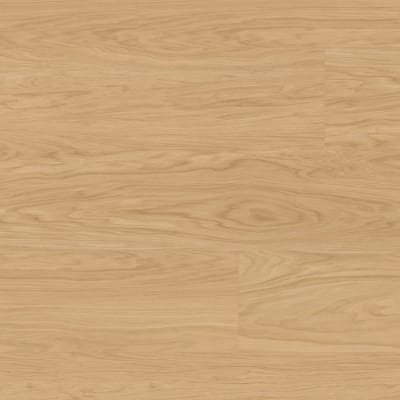 PVP172-SCB - Eldergrove