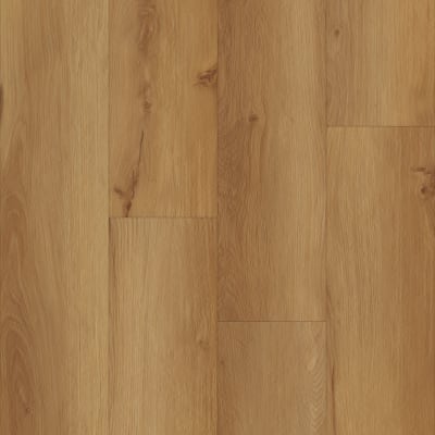 P2257-M5504 - Legend Oak