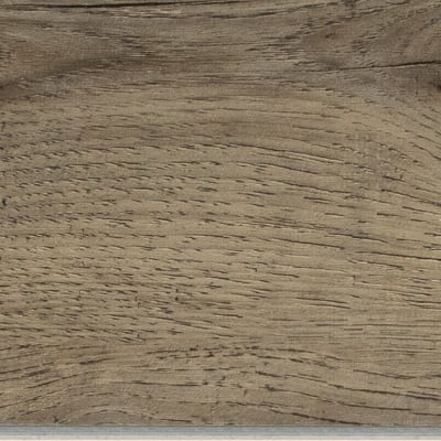 AD34648CLVT1P - Forest