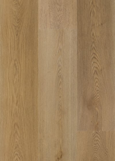 AB24971GD12ML2M - Manor