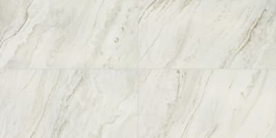 FM111224A1PF - Iconic 12.00 in x 24.00 in