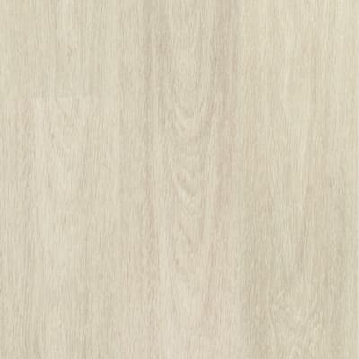 PT84748G20ML3M - Birch