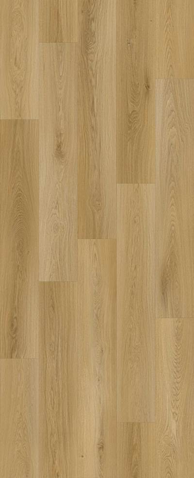 LI-HH05 - Elm Terrace