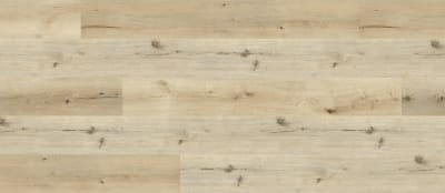 REWVE4102 - Canyon Oak