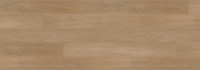 REDF6004 - Hurricane Tawny