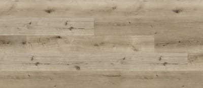 REWVE4101 - Valley Oak