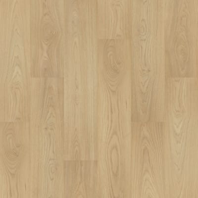 CDL02-232 - Criollo Hickory