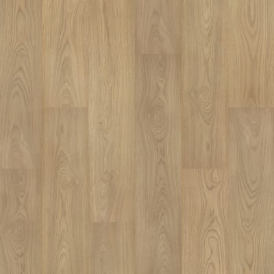 CDL02-841 - Stallion Hickory