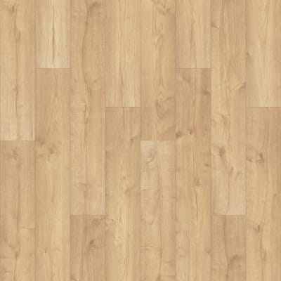 CDL33-142 - Canoe Oak