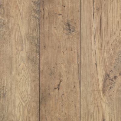 CDL74-1 - Fawn Chestnut