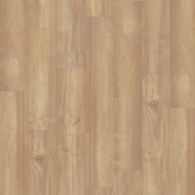 CDL06-149 - Sesame Acacia