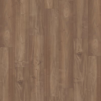 CDL06-860 - Coconut Acacia