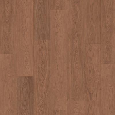 CDL13-352 - Cocoa Oak