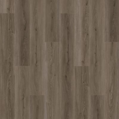SDS03-879 - Rutledge