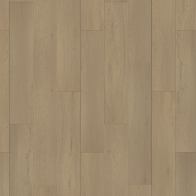 AH135-261 - Elise