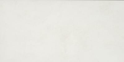 PF02RCT1224MT - White 12 x 24