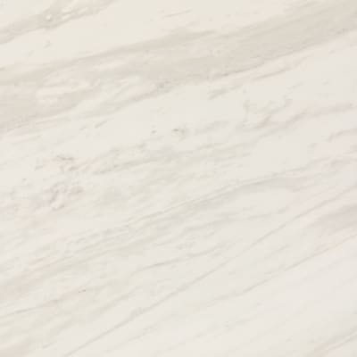 PT2024241PF - Timeless White 24 x 24 Matte