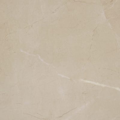 PT2224241PF - Elegant Beige 24.00 in x 24.00 in Matte