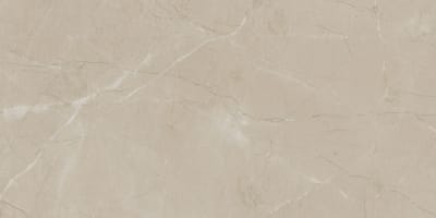 PT2212241P2 - Elegant Beige 12.00 in x 24.00 in Satin