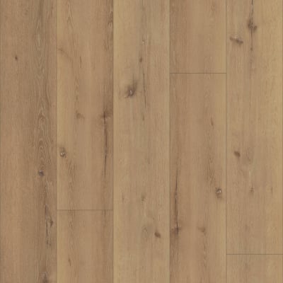 CR503-02956 - Cairo Oak