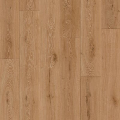 CR504-02116 - Autumn Oak