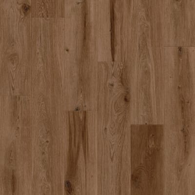 CR504-03047 - Cinnamon Bark Oak