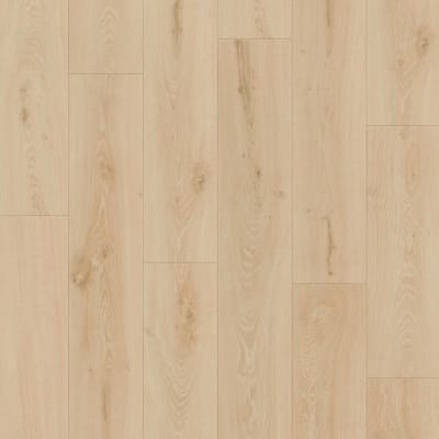 CR504-04069 - Butterscotch Oak