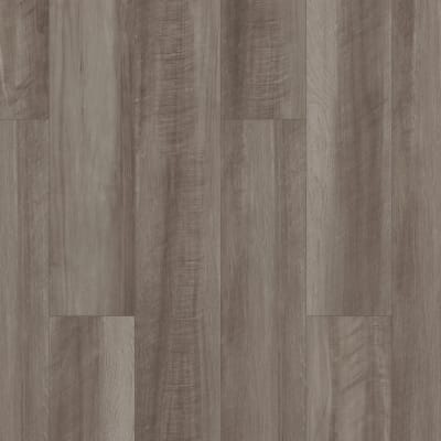 00591_0278V - Oyster Oak