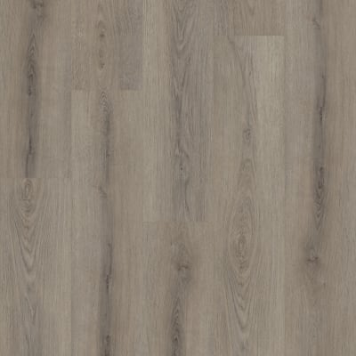 05219_0278V - Ashen Brown