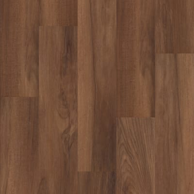 00820_0736V - Amber Oak