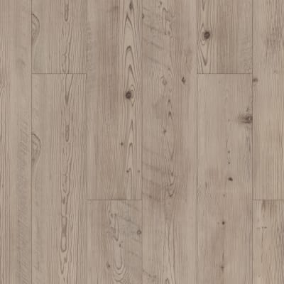 01036-2019V - Prestique Pine